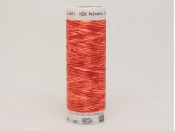 Нить для вышивания мультиколор POLY SHEEN MULTI, 200 м. (color 9924)